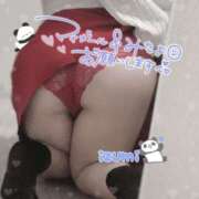 ヒメ日記 2025/05/18 21:31 投稿 いずみ ちゃんこ幕張店