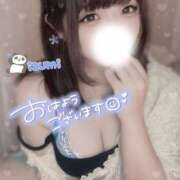 ヒメ日記 2025/05/24 08:01 投稿 いずみ ちゃんこ幕張店