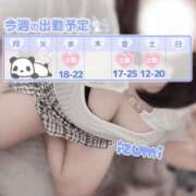 ヒメ日記 2025/06/01 21:46 投稿 いずみ ちゃんこ幕張店