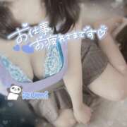 ヒメ日記 2025/06/03 12:36 投稿 いずみ ちゃんこ幕張店