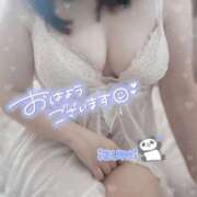 ヒメ日記 2025/06/06 08:06 投稿 いずみ ちゃんこ幕張店