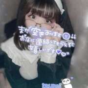 ヒメ日記 2025/06/07 16:56 投稿 いずみ ちゃんこ幕張店