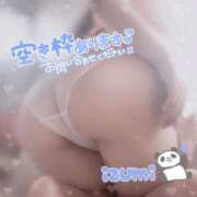 ヒメ日記 2025/06/14 18:06 投稿 いずみ ちゃんこ幕張店