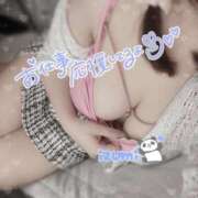 ヒメ日記 2025/06/30 10:26 投稿 いずみ ちゃんこ幕張店