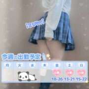 ヒメ日記 2025/07/21 21:41 投稿 いずみ ちゃんこ幕張店