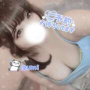 ヒメ日記 2025/07/24 12:23 投稿 いずみ ちゃんこ幕張店