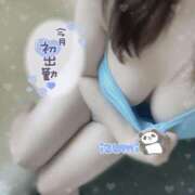 ヒメ日記 2025/07/25 16:26 投稿 いずみ ちゃんこ幕張店