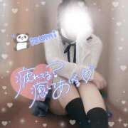 ヒメ日記 2025/08/03 15:56 投稿 いずみ ちゃんこ幕張店