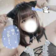 ヒメ日記 2025/08/08 21:56 投稿 いずみ ちゃんこ幕張店