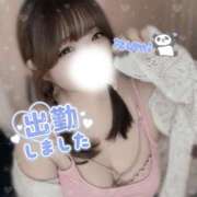 ヒメ日記 2025/09/10 17:46 投稿 いずみ ちゃんこ幕張店