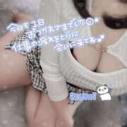 ヒメ日記 2025/09/18 18:54 投稿 いずみ ちゃんこ幕張店