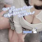 ヒメ日記 2025/09/18 18:56 投稿 いずみ ちゃんこ幕張店