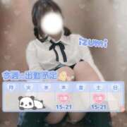 ヒメ日記 2025/09/22 22:26 投稿 いずみ ちゃんこ幕張店