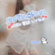 ヒメ日記 2025/10/17 08:16 投稿 いずみ ちゃんこ幕張店