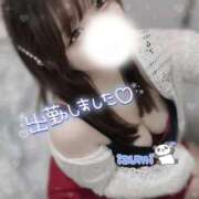 ヒメ日記 2025/10/17 14:06 投稿 いずみ ちゃんこ幕張店