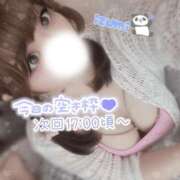 ヒメ日記 2025/11/02 15:06 投稿 いずみ ちゃんこ幕張店