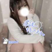 ヒメ日記 2025/11/03 12:16 投稿 いずみ ちゃんこ幕張店