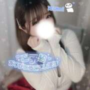 ヒメ日記 2025/11/30 14:56 投稿 いずみ ちゃんこ幕張店