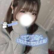 いずみ 今日がチャンス？💙 ちゃんこ幕張店