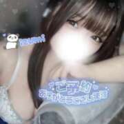 ヒメ日記 2026/02/16 20:36 投稿 いずみ ちゃんこ幕張店