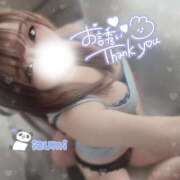 ヒメ日記 2026/02/17 02:36 投稿 いずみ ちゃんこ幕張店