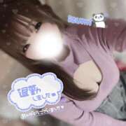 ヒメ日記 2026/03/11 22:31 投稿 いずみ ちゃんこ幕張店