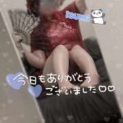 ヒメ日記 2026/03/15 23:46 投稿 いずみ ちゃんこ幕張店