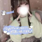 ヒメ日記 2026/04/04 14:16 投稿 いずみ ちゃんこ幕張店