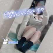 ヒメ日記 2026/04/04 22:02 投稿 いずみ ちゃんこ幕張店