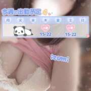ヒメ日記 2026/04/14 21:18 投稿 いずみ ちゃんこ幕張店