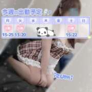 ヒメ日記 2026/07/13 20:12 投稿 いずみ 素人・巨乳「ちゃんこ幕張店」