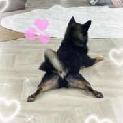 ヒメ日記 2025/01/17 19:50 投稿 桃園こゆき 札幌ソフィア