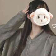 ヒメ日記 2025/11/22 19:33 投稿 桃園こゆき 札幌ソフィア