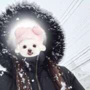 桃園こゆき ❄️❄️❄️ 札幌ソフィア