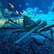 ヒメ日記 2025/04/14 23:45 投稿 チュウ Club Hearts