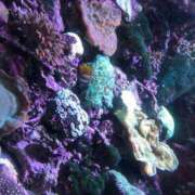 ヒメ日記 2025/04/25 11:15 投稿 チュウ Club Hearts