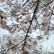 ヒメ日記 2026/03/30 22:07 投稿 チュウ Club Hearts