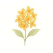 ヒメ日記 2026/04/07 18:02 投稿 しい 激安ソープの殿堂　ボイン・ホーテ