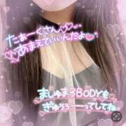 ヒメ日記 2024/12/14 10:21 投稿 ねむ 香川高松ちゃんこ