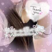 ヒメ日記 2024/12/14 13:49 投稿 ねむ 香川高松ちゃんこ