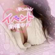 ヒメ日記 2024/12/30 15:29 投稿 ねむ 香川高松ちゃんこ