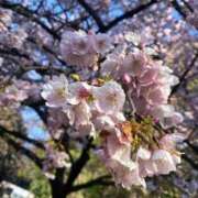 ヒメ日記 2025/03/14 07:30 投稿 琉花(るか) 人妻城 横浜本店