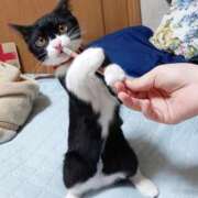 ヒメ日記 2025/10/14 17:11 投稿 ゆめき 熟女の風俗最終章 宇都宮店