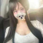 ヒメ日記 2025/08/26 21:19 投稿 なゆ 帯広黒い金魚