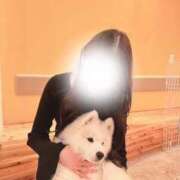 ヒメ日記 2025/01/31 16:15 投稿 みる ビギナーズ神戸