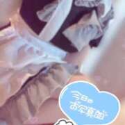 ヒメ日記 2025/04/07 12:49 投稿 ひなみ 石川小松ちゃんこ