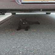 ヒメ日記 2025/08/01 15:19 投稿 ひなみ 石川小松ちゃんこ