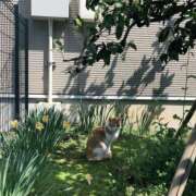 ヒメ日記 2026/05/30 10:12 投稿 ひなみ 石川小松ちゃんこ