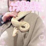 ヒメ日記 2025/01/12 11:35 投稿 さゆき 奥鉄オクテツ東京店（デリヘル市場）