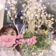 ヒメ日記 2025/01/20 22:20 投稿 さゆき 奥鉄オクテツ東京店（デリヘル市場）